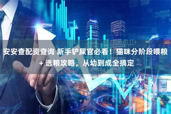 安安查配资查询 新手铲屎官必看!猫咪分阶段喂粮 + 选粮攻略,从幼到成全搞定