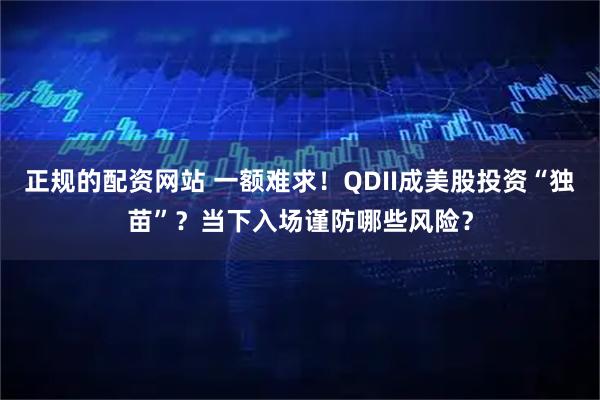 正规的配资网站 一额难求！QDII成美股投资“独苗”？当下入场谨防哪些风险？
